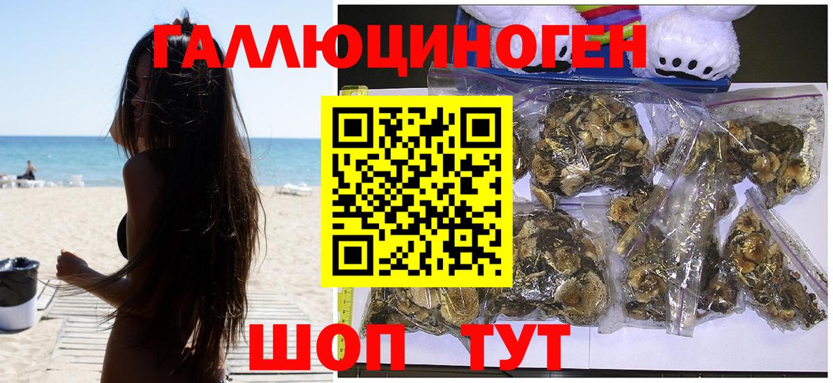 Псилоцибиновые грибы Psilocybe Соль-Илецк