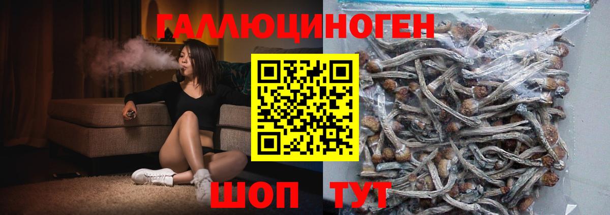 хочу   Псилоцибиновые грибы Magic Shrooms  Вход с VPN  Соль-Илецк 